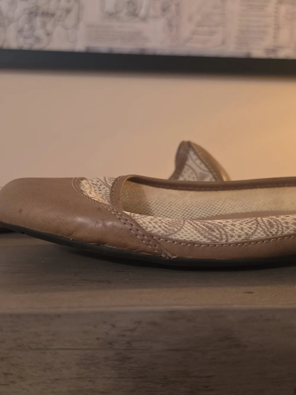 Patagonia Tan and Cream Patterned Women's Ballet Flats